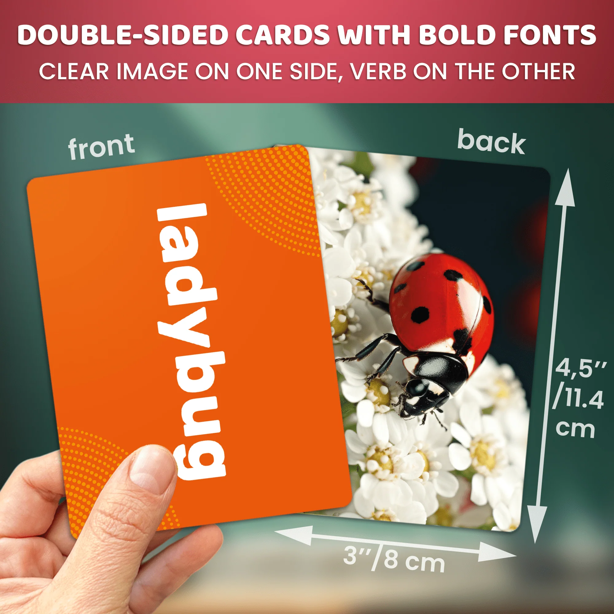 104 Animals Flash Cards Set for Speech Therapy - Image 3