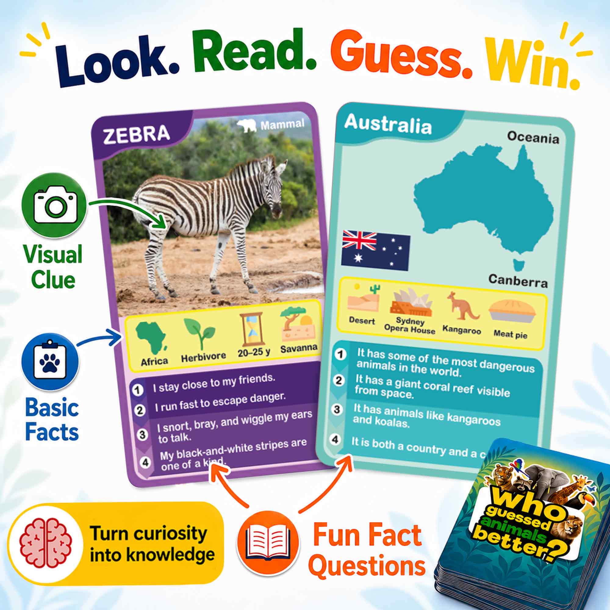 3 Set Educational Game for Kids - Who Guess It Better: Animals & Countries - Image 5