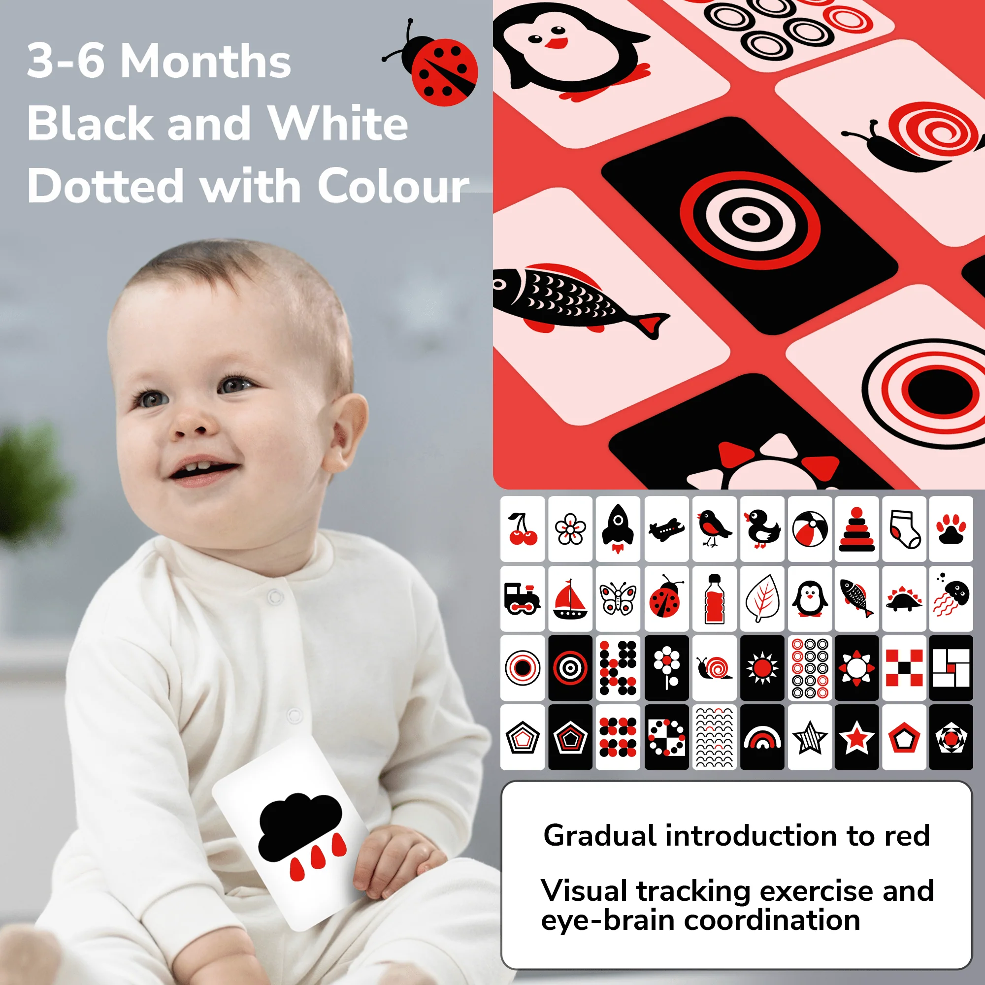 60 Contrast Baby Flash Cards | Animals, Shapes & Household Items - Image 4