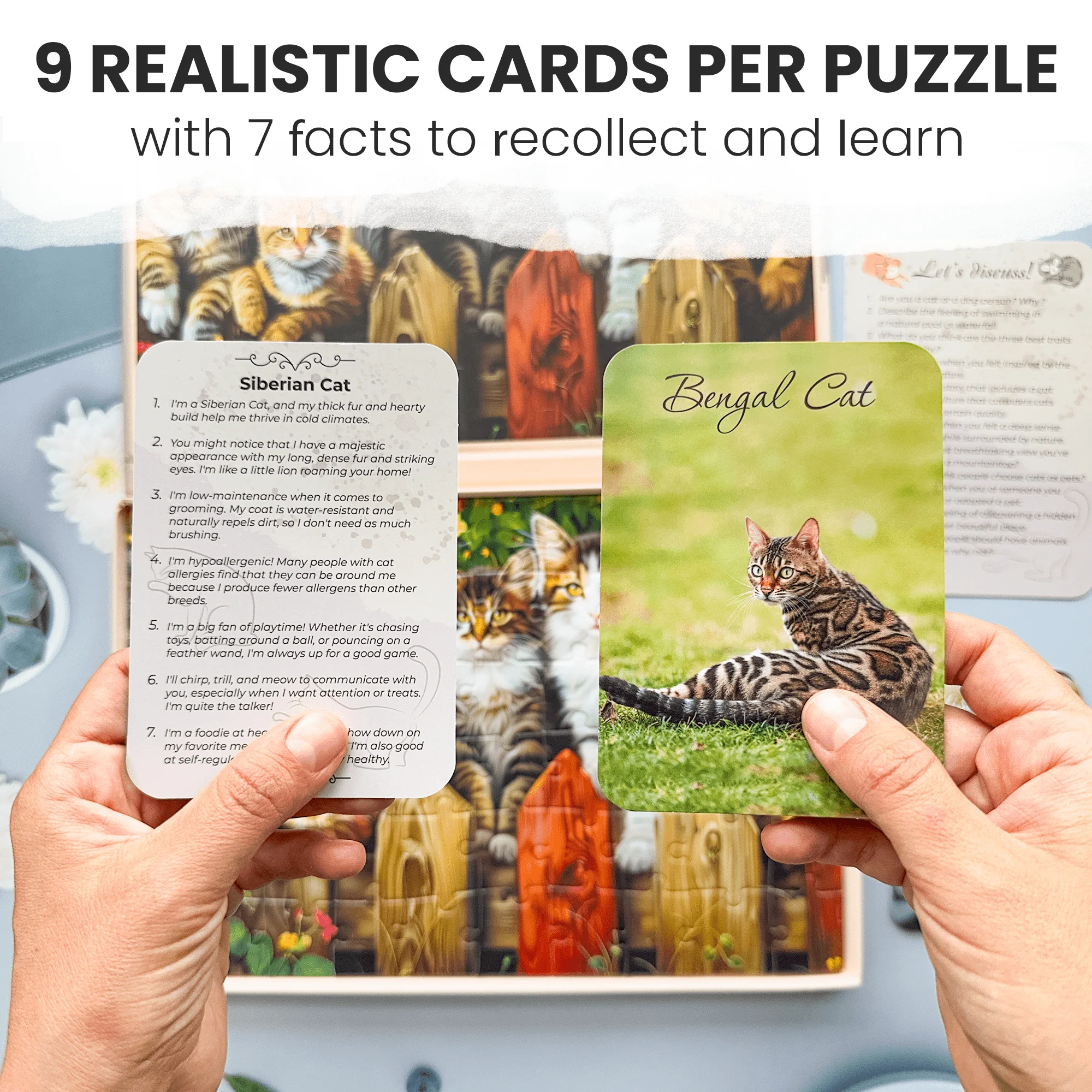 60 Pcs Dementia Puzzles for Elderly | Gems of Nature - Image 3