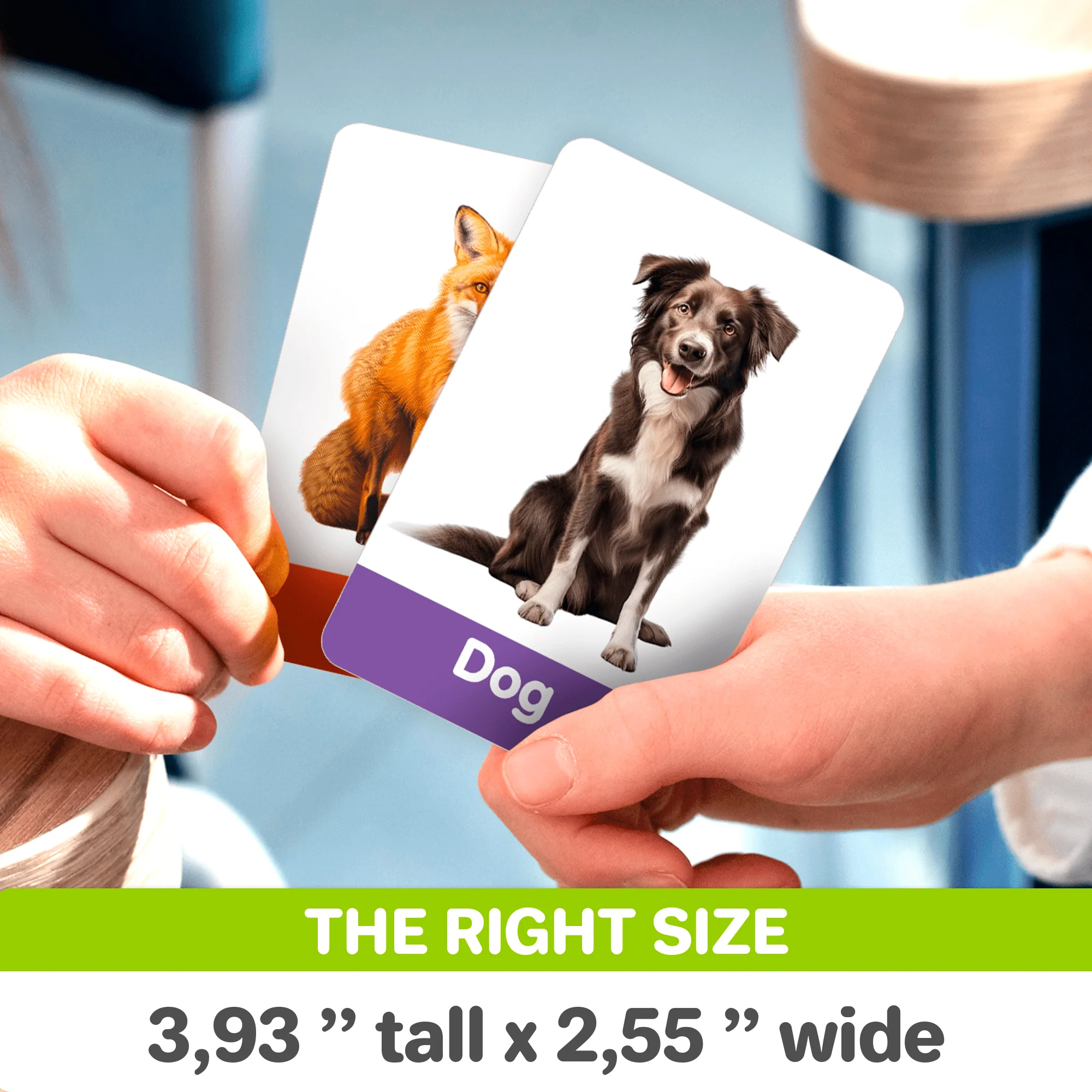60 Realistic Learning Flash Cards for Kids | ABC, Numbers & Animals - Image 3