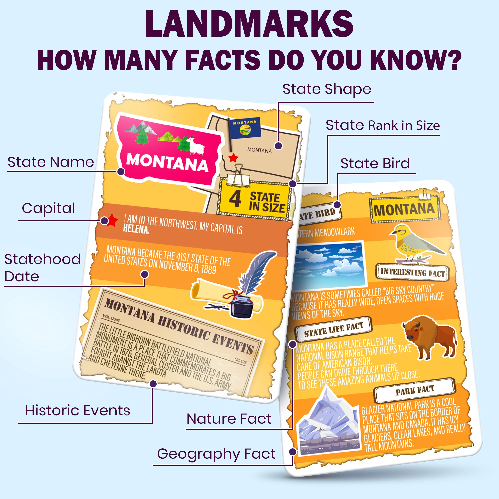 Geography Flash Cards – 338 World & USA Learning Cards - Image 4