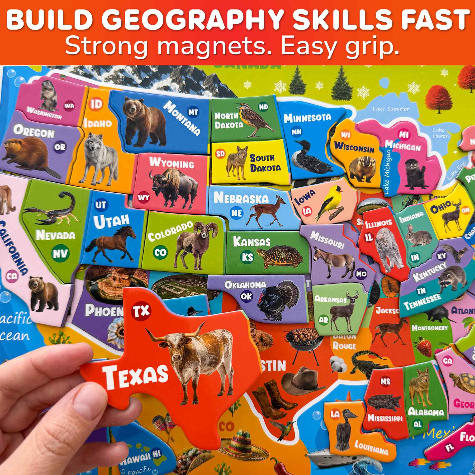 Magnetic Puzzles for Kids - Realistic USA Map - Image 5